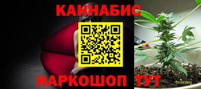 тгк Пенза
