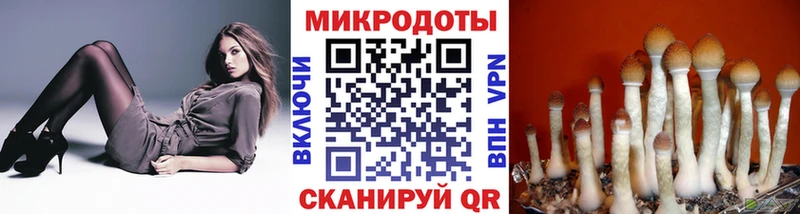 купить наркотик  Шебекино  Галлюциногенные грибы Magic Shrooms 
