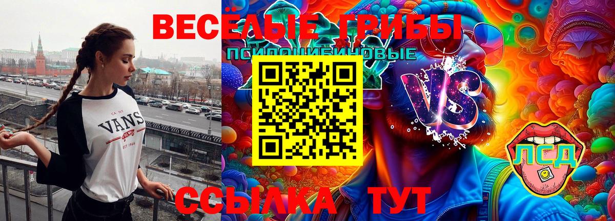 Галлюциногенные грибы ЛСД  Вход с VPN  Шебекино 