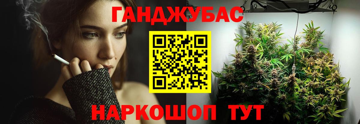 Бошки марихуана конопля Шебекино